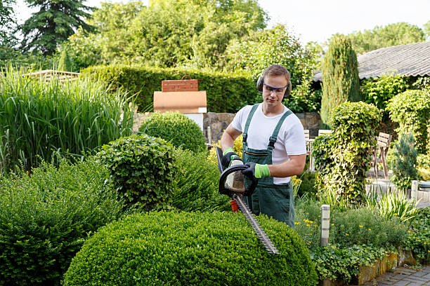 Jardinagem e Paisagismo